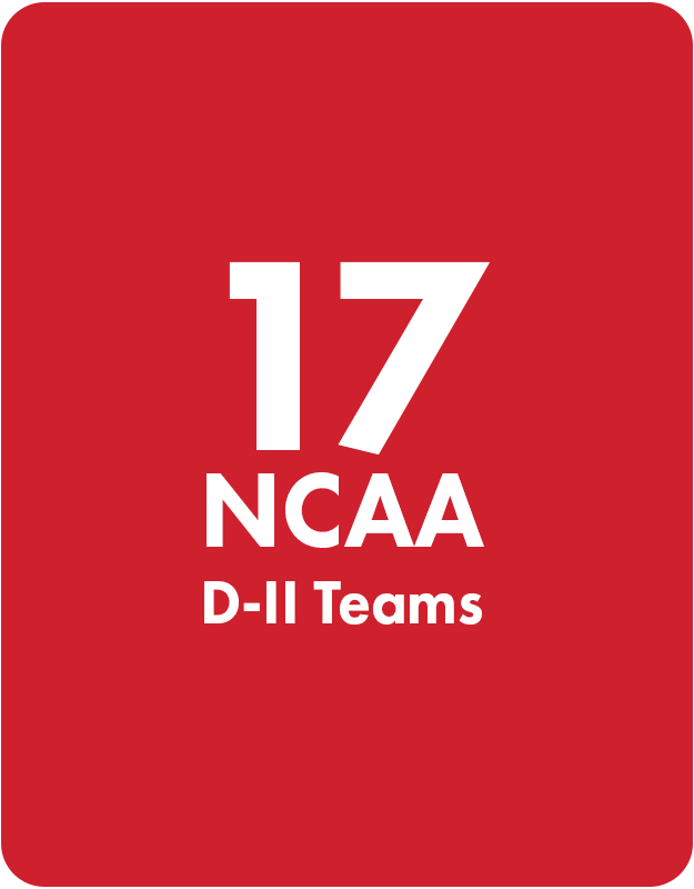 17 NCAA D-II Teams