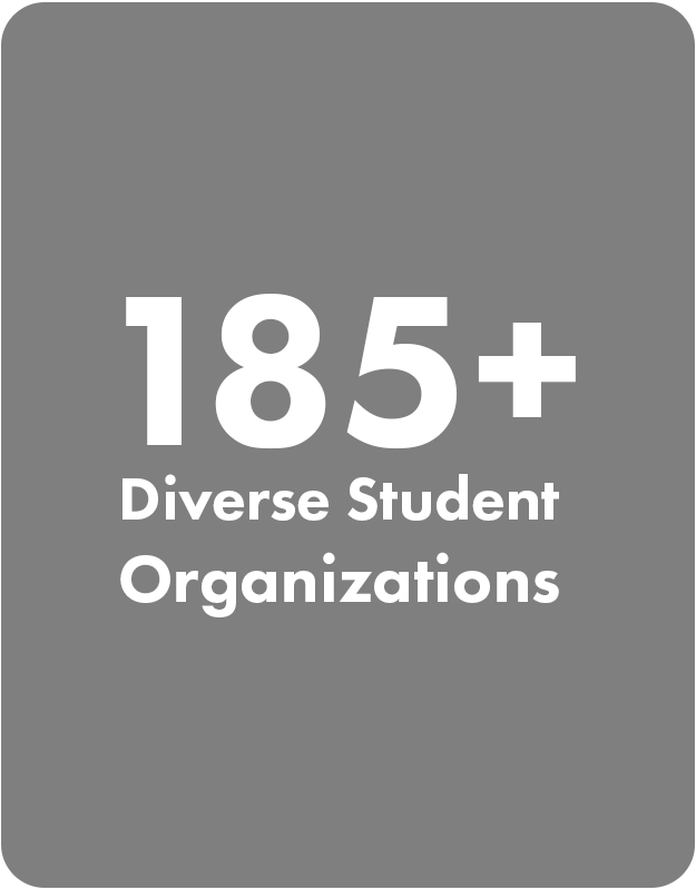 185+ Diverse Student Organizations