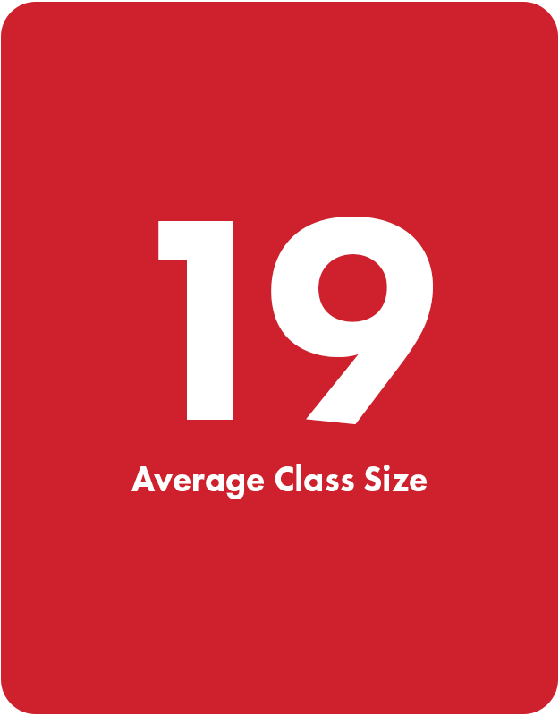 19 average class size