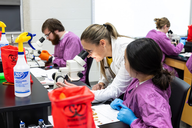 Dr. Dawn Pauling and students in a lab