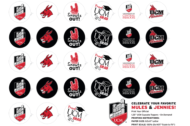 Miscellanious UCM themed cake toppers