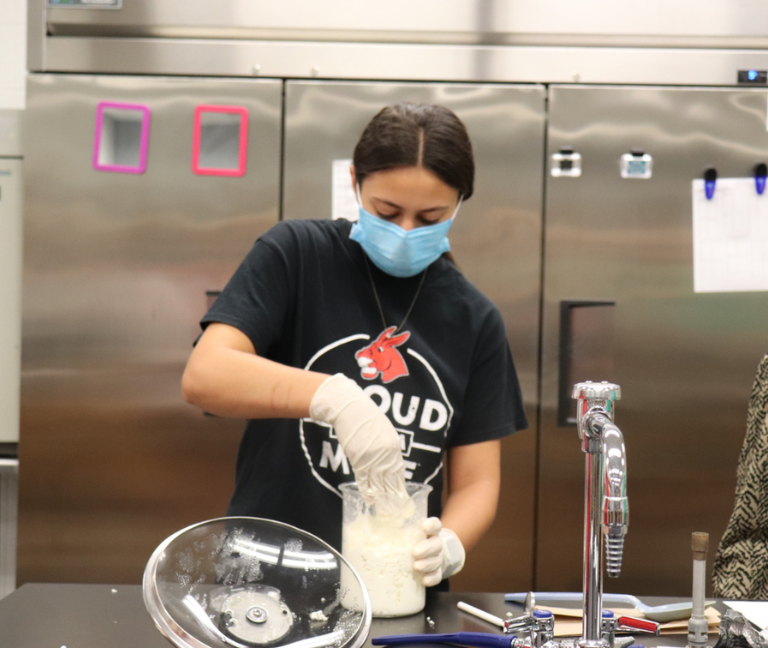 Image of an Honors College student in a lab making cheese.